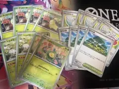 チコリータ　活力の森　むしとりセット