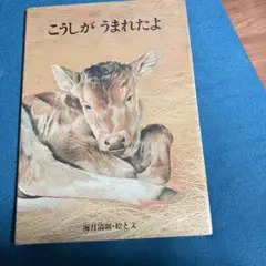 こうしがうまれたよ　海月清則　絵本牛の出産