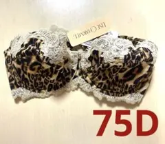 Item thumbnail for item ef06532e-f556-4576-8ae0-cc3ead4f76b5