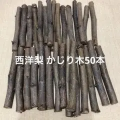 Item thumbnail for item 4fdfb9a1-5b35-4d18-87a0-8aa42c8f15cb