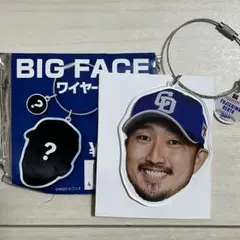 中日ドラゴンズ　藤島健人　BIGFACEワイヤーチャーム