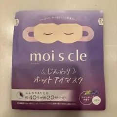 Item thumbnail for item 41369152-ec66-40b3-819a-a4385c5aa3d2