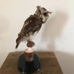 Item thumbnail for item 8b2a4206-cda5-4c9c-b5ae-3dc1e69dbb52