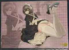 嫌な顔されながらおパンツを見せてもらいたい　クリアシート