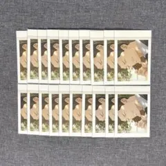 Item thumbnail for item 2fd22b7e-a211-499d-aafa-2b8d6c818507