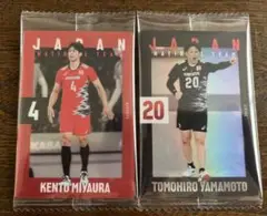 Item thumbnail for item a6491028-ee6f-49d9-a2f0-1bb43350901e