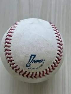 プロ野球 巨人VS中日 試合球ファールボール