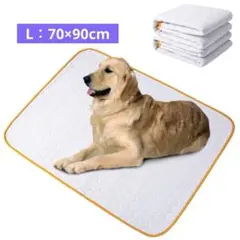 Item thumbnail for item 1eaffad0-c6d0-4365-96ce-ab192b909755