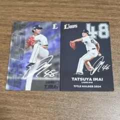 Item thumbnail for item 603c769b-29d0-49d4-8d3f-63dcb1c466ce