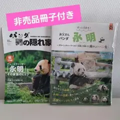 ずっと大好き! お父さんパンダ 永明 アドベンチャーワールド非売品付き