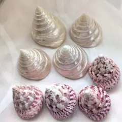 2025年最新】タカセガイの人気アイテム - メルカリ