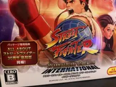 PS4 ストリートファイター 30th アニバーサリーコレクション 特典のみ