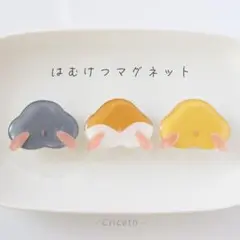 【No.224】はむけつマグネット シリアンver. (3個セット)