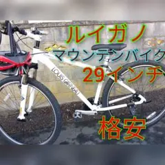 マウンテンバイク MTB ルイガノ マウンテンバイク