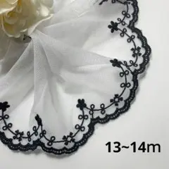 Item thumbnail for item bf1e3bc6-e82c-4004-8624-aeb9c25ef93a