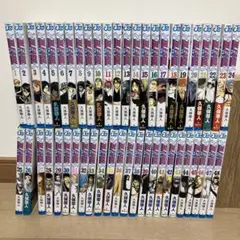 Bleach 1〜48 巻