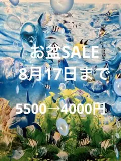 ☆美品☆DUALVIEWフレアースカート