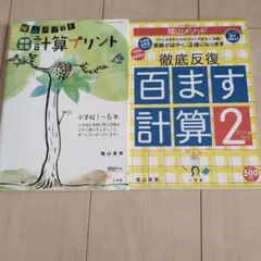 計算プリントと百ます計算2のセット