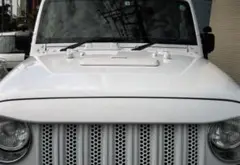 Item thumbnail for item 93f7af0a-7f1c-46cd-be83-15be7fc252ab