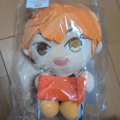 日向翔陽 ぬいぐるみ ラストゲットver.