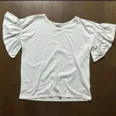 Item thumbnail for item 9253aa82-3c09-412b-b1d0-bbd272e11238
