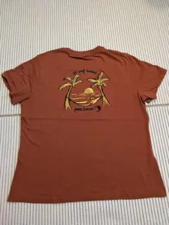 T&C surt Designs Hawaii Tシャツ Lサイズ パームツリー