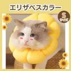 Item thumbnail for item 9f5cba8e-bb55-4aa0-ba29-9664b1d9eb06