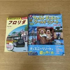 フロリダ 旅行ガイド ディズニー
