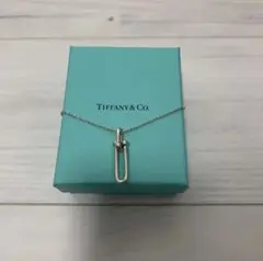 Tiffany ハードウェア リンクペンダント ネックレス 深澤辰哉