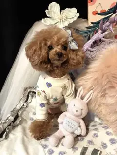 大人気の⑅⃝︎お花のレーストップス⑅⃝︎です✿︎