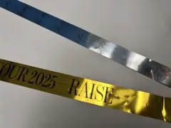 Item thumbnail for item 1e17be97-1cbf-4efb-a93f-96b879257405