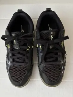 Item thumbnail for item 78bf0631-80ea-406a-a5c8-039a8a1c1974