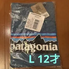 【未使用】patagonia パタゴニア　Tシャツ　Lサイズ（12才）
