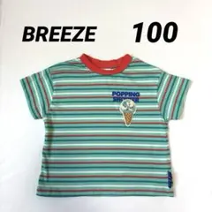 ブリーズ サーティワン フレーバーボーダー Tシャツ 100