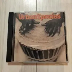 イギリス　ジャズ　ソウル　ヒップホップ　urban species