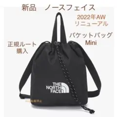 【新デザイン】ノースフェイス バケットミニバッグ 黒 2way トートバッグ