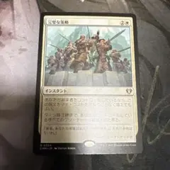 MTG 完璧な策略 日本語