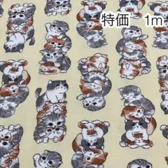 ラスト 特価 1m ぎゅうぎゅう猫 クリーム オックス
