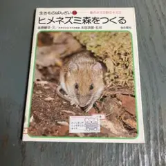 セール【激レア】海洋堂 バレンタインシークレット ヒメネズミハート有り無しの2体 2025年最新】ヒメネズミの人気アイテム - メルカリ