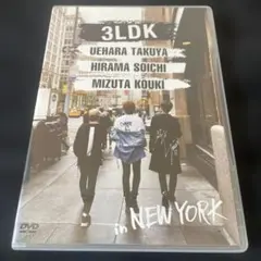3LDK in NEW YORK 植原卓也 平間壮一 水田航生