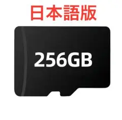 TRIMUI SMART PRO カードのみ