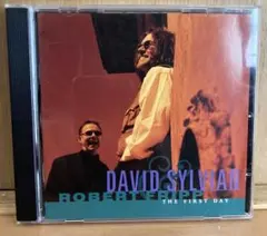 【希少レーザーデイスク】シルヴィアン&フリップ　ライブ・イン・ジャパン 1993 Live in Japan - Sylvian & Fripp laserdisc - David Sylvian
