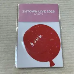 SM TOWN 2025 ホログラムステッカーセット TVXQ