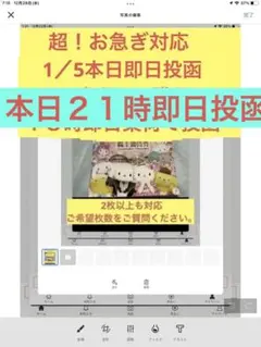 サンリオピューロランド 株主優待券 1枚