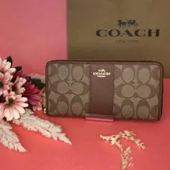 ☆COACH 長財布 ブラウンライン ブラウンシグネチャー