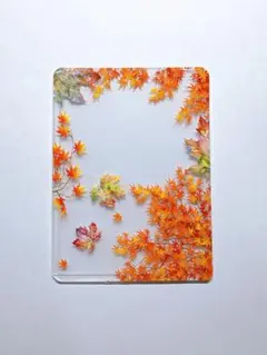 Item thumbnail for item f981dc43-fb8e-4f89-84ac-f1e52c836468