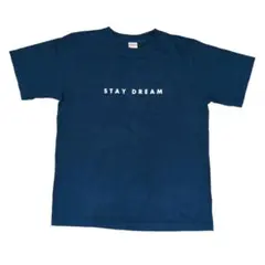 ユナイテッドアスレ【M】半袖ロゴプリントTシャツバックシンプル綿100コットン