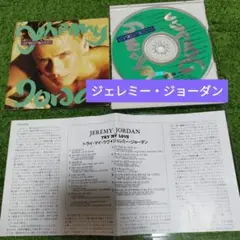 国内盤ジェレミー・ジョーダン　Jeremy Jordan Try My Love