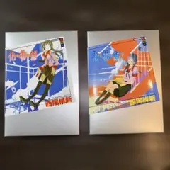 化物語 上下巻セット