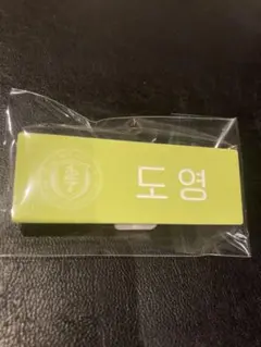 SMTOWN LIVE 2025 グッズ　ネームバッジ　ドヨン